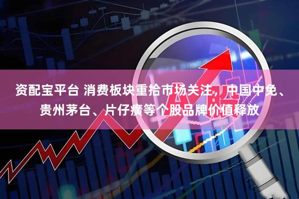 资配宝平台 消费板块重拾市场关注，中国中免、贵州茅台、片仔癀等个股品牌价值释放