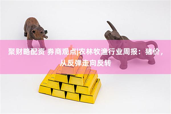聚财略配资 券商观点|农林牧渔行业周报：猪价，从反弹走向反转